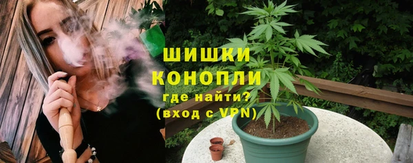 ECSTASY Богородицк